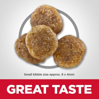 Image showing  Senior Adult 7+ Small Bites Chicken Recipe Dry Dog Food