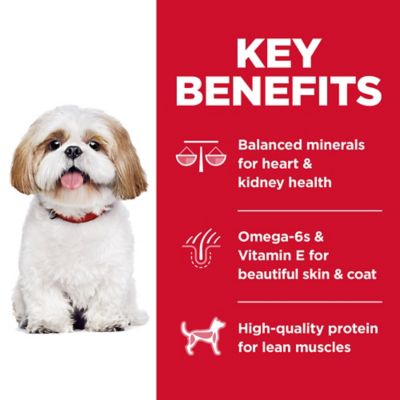 Image showing  Senior Adult 7+ Small Bites Chicken Recipe Dry Dog Food