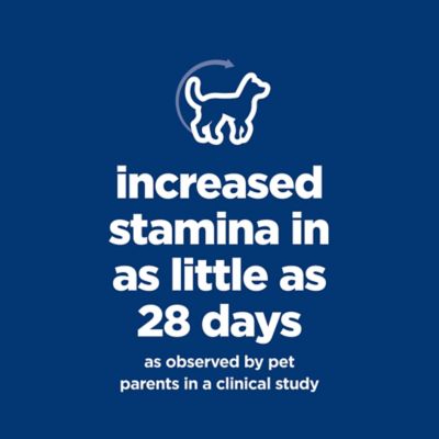 Image showing 5 th Hill's Science Diet Adult 7+ Senior Vitality Chicken and Rice Recipe Dry Dog Food