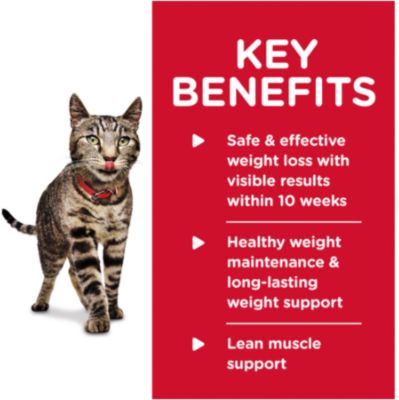 Image showing  Adult Perfect Weight Cat Food, Roasted Vegetable & Chicken Medley, Canned, 2.9 oz.
