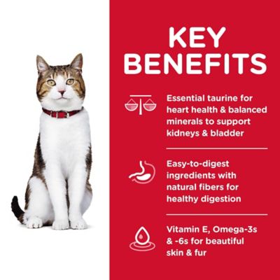 Image showing  Senior Adult 7+ Chicken Recipe Dry Cat Food