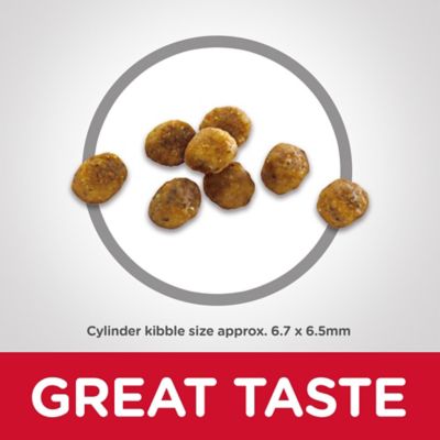 Image showing  Senior Adult 7+ Chicken Recipe Dry Cat Food