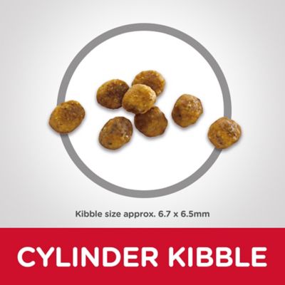 Image showing  Senior Adult 7+ Chicken Recipe Dry Cat Food