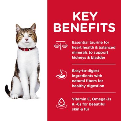 Image showing  Senior Adult 7+ Chicken Recipe Dry Cat Food