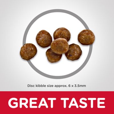 Image showing  Kitten Indoor Chicken Recipe Dry Cat Food