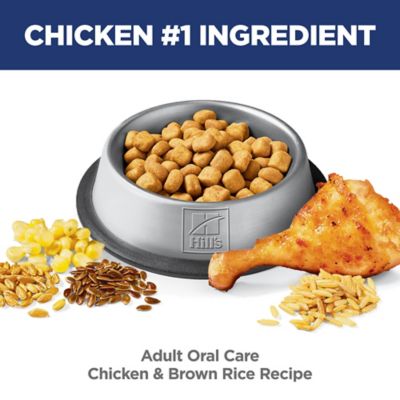 Image showing  Adult Indoor/Outdoor Oral Care Chicken Formula Dry Cat Food