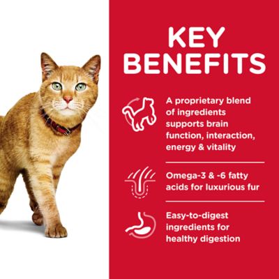 Image showing  Senior 7+ Indoor/Outdoor Vitality Chicken and Rice Recipe Dry Cat Food