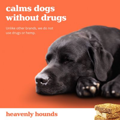 Image showing  Peanut Butter Relaxation Square Calming Treat for Dogs