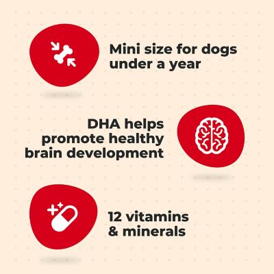 Image showing  Original Puppy Dog Biscuits