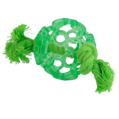 Image showing  Playplace Lattice Ball Dog Toy
