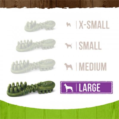 Image showing  Fresh Kisses Grain Free Coconut Oil & Botanicals Large Dental Dog Treats, 6.5 oz., 4 ct.