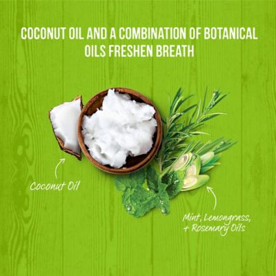 Image showing  Fresh Kisses Grain Free Coconut Oil & Botanicals Small Dental Dog Treats, 9.5 oz., 15 ct.