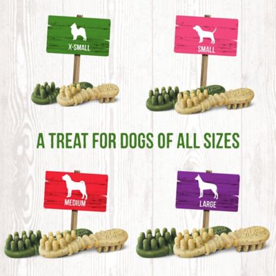 Image showing 5 th Merrick Fresh Kisses Grain Free Coconut Oil & Botanicals Small Dental Dog Treats, 9.5 oz., 15 ct.