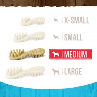 Image showing  Fresh Kisses Grain Free Mint Breath Strips Medium Dental Dog Treats, 23 oz., 22 ct.