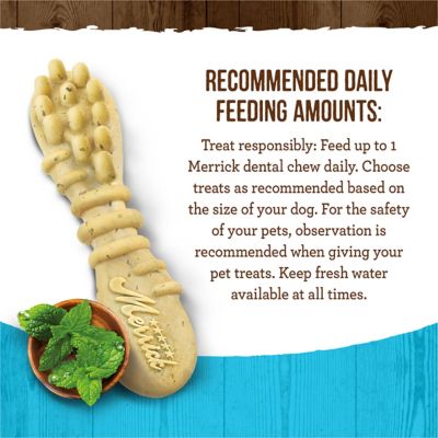 Image showing  Fresh Kisses Grain Free Mint Breath Strips Large Dental Dog Treats, 27 oz., 16 ct.