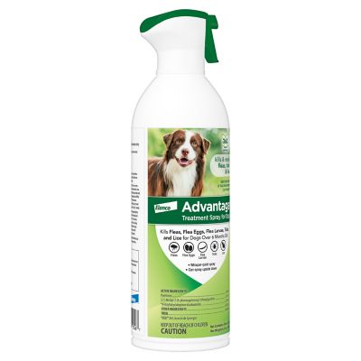 Image showing  Flea and Tick Treatment Spray for Dogs, 8 oz.