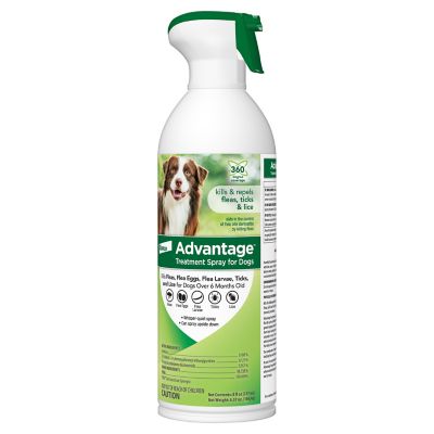 Image showing  Flea and Tick Treatment Spray for Dogs, 8 oz.