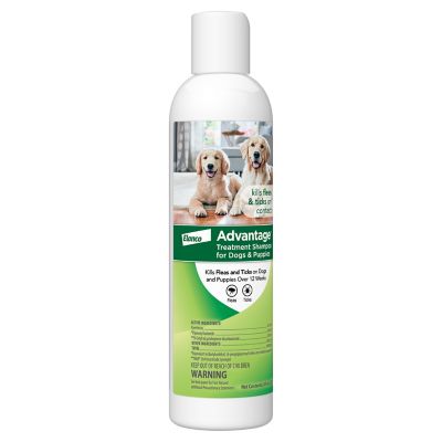 Image showing  Flea and Tick Treatment Shampoo for Dogs, 8 oz.