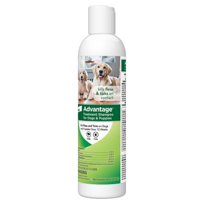 Image showing  Flea and Tick Treatment Shampoo for Dogs, 8 oz.