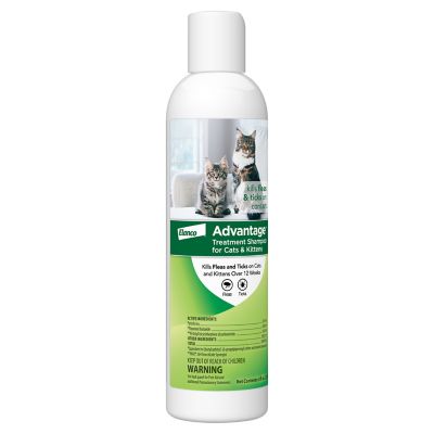 Image showing  Flea and Tick Treatment Shampoo for Cats and Kittens, 8 oz.