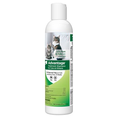 Image showing  Flea and Tick Treatment Shampoo for Cats and Kittens, 8 oz.