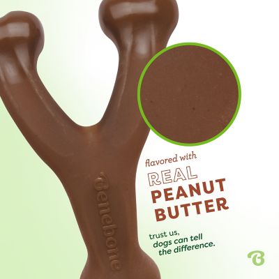 Image showing  Wishbone Durable Dog Chew Toy, Real Peanuts, Small