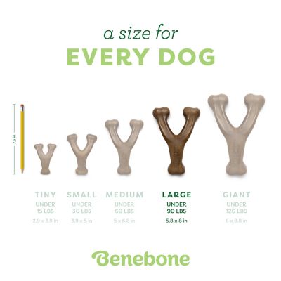 Image showing  Wishbone Durable Dog Chew Toy, Real Peanuts, Large
