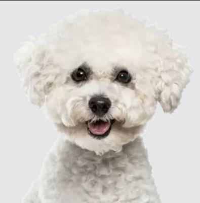 Image showing  All Life Stages Select Chicken Formula Dry Dog Food, 30 lb. Bag