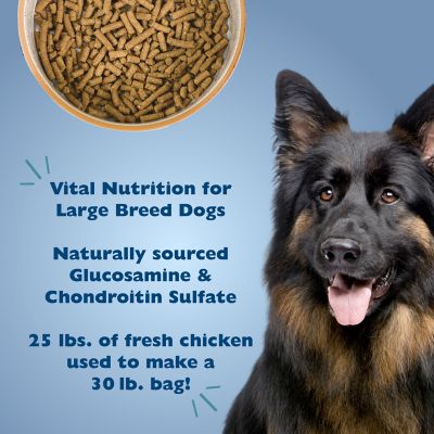 Image showing  Large Breed Adult Chicken Formula Dry Dog Food, 30 lb. Bag