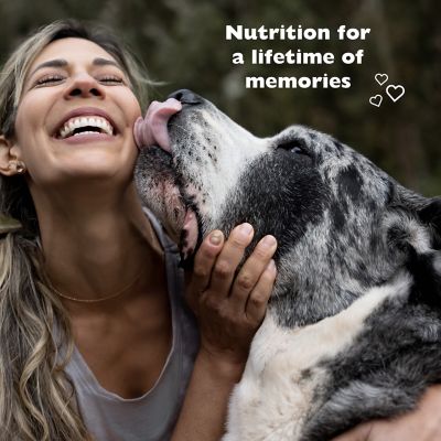 Image showing 5 th Bil-Jac Large Breed Adult Chicken Formula Dry Dog Food, 30 lb. Bag