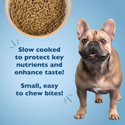 Image showing  Small Breed Adult Chicken, Oatmeal, and Yams Recipe Dry Dog Food