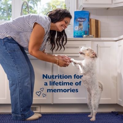 Image showing 5 th Bil-Jac Small Breed Adult Chicken, Oatmeal, and Yams Recipe Dry Dog Food