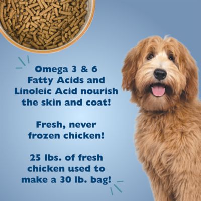 Image showing  Sensitive Solutions Skin and Stomach Support Chicken and Whitefish Recipe Dry Dog Food