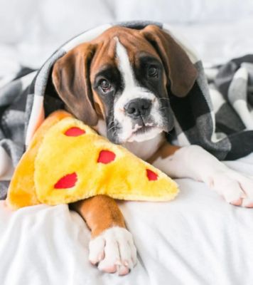 Image showing  NomNomz Pizza Slice Dog Toy