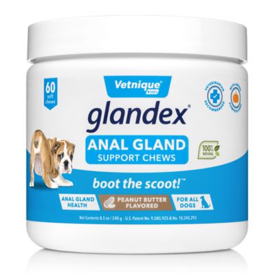Glandex Anal Gland Fiber Supplement Soft Chews for Dogs, 60 ct.