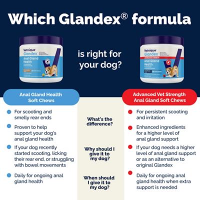 Image showing 6 th Glandex Anal Gland Fiber Supplement Soft Chews for Dogs, 60 ct.