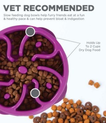 Image showing  Fun Feeder Mini Slow Feed Pet Bowl