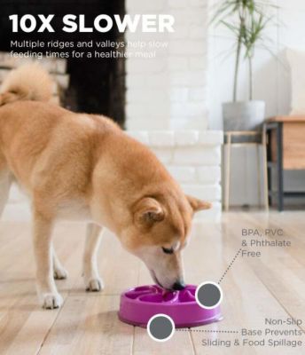 Image showing  Fun Feeder Mini Slow Feed Pet Bowl