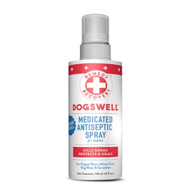 Cardinal R&R Medicated Antiseptic Spray 4 oz.