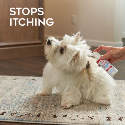 Image showing  Remedy Recovery 0.5% Hydrocortisone Lotion, 4 oz.