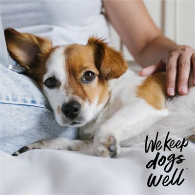 Image showing 5 th Cardinal Remedy Recovery 0.5% Hydrocortisone Lotion, 4 oz.