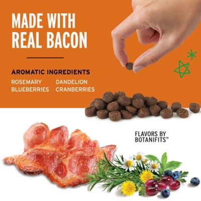 Image showing  Mini Training Rewards Bacon Dog Treats, 10 oz.