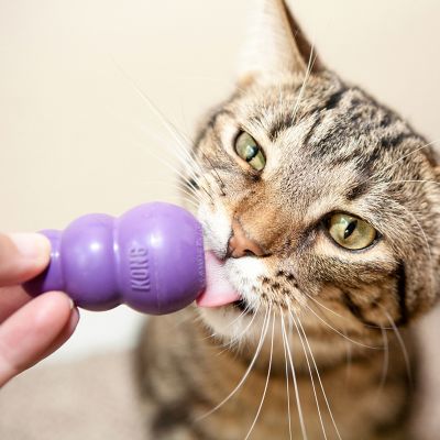 Image showing  Kitty Stuffn Easy Treat Salm