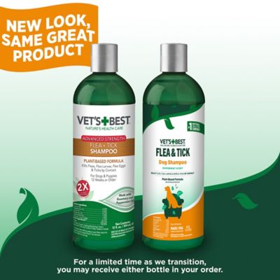 Image showing  Advanced Strength Flea and Tick Shampoo for Dogs, 12 oz.