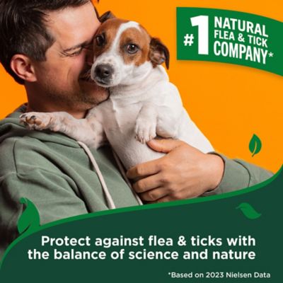 Image showing  Advanced Strength Flea and Tick Shampoo for Dogs, 12 oz.