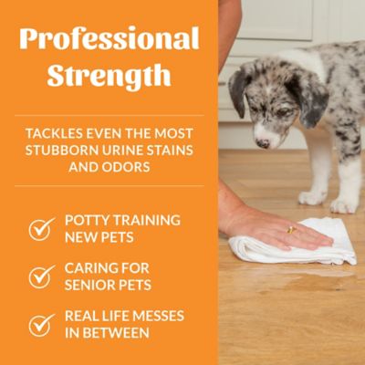 Image showing 5 th Skout's Honor Urine Destroyer