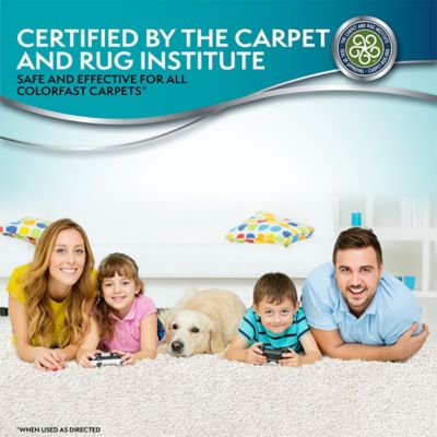 Image showing 6 th Simple Solution Urine Destroyer Stain & Odor Remover 32oz