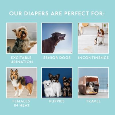 Image showing  Pupsters Wash Diaper Medium