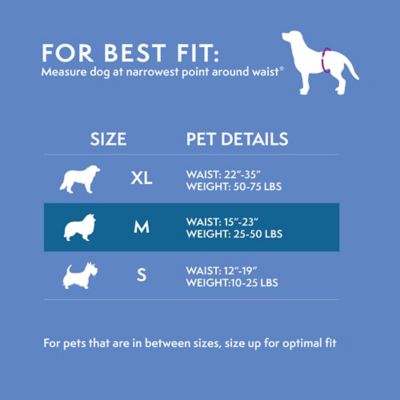 Image showing 5 th Simple Solution Pupsters Wash Diaper Medium