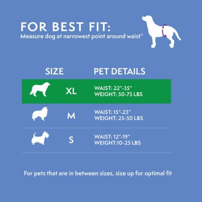 Image showing  Washable Diaper Size X-Large